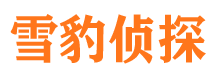 吉县市侦探